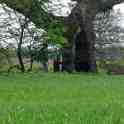 30-934 The ancient boundary marker between Oadby and Wigston