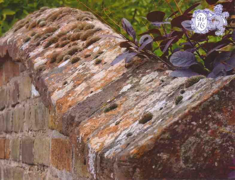 16-009 Wall at No 10 Newgate End 2011