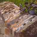 16-009 Wall at No 10 Newgate End 2011