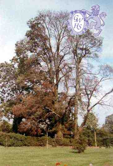 8-218 Dying Elms Newton Lane Wigston Magna