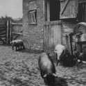 24-065 Thorntons Farm Yard Countesthorpe Road South Wigston