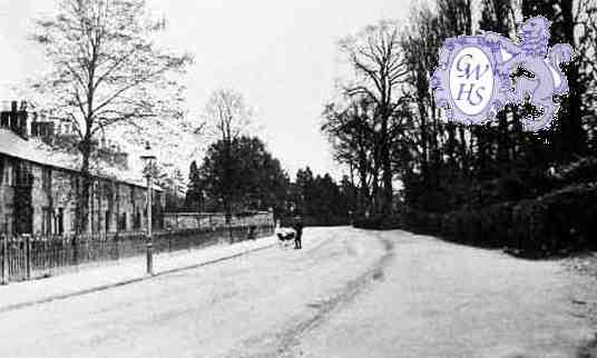 8-295b Known as Ten Row Station Road Wigston Magna circa 1910 copy