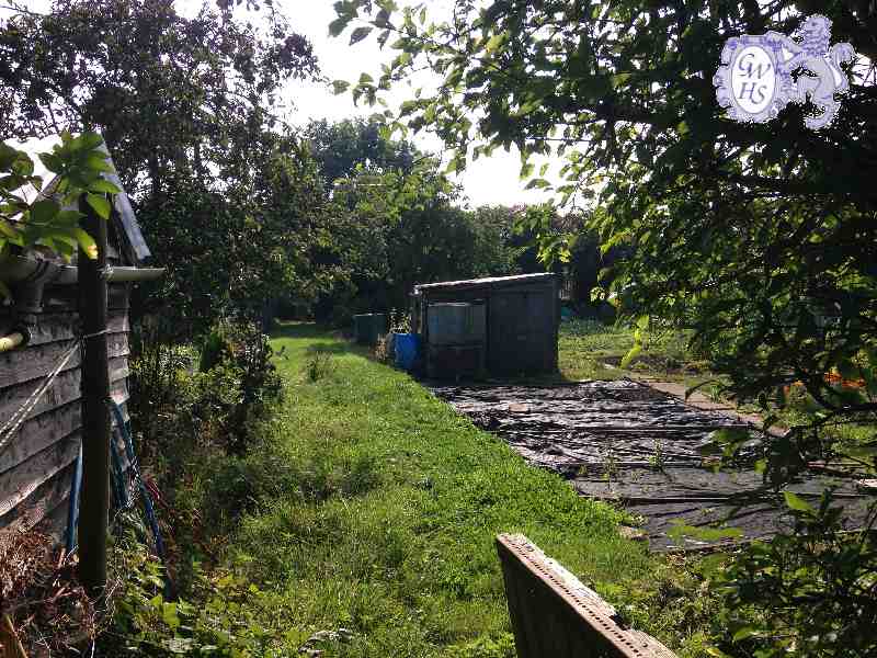 26-117 Allotments by The Lanes Aug 2014