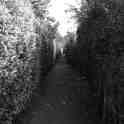 26-118 The Lanes Aug 2014