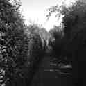 26-119 The Lanes Aug 2014