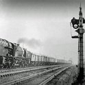 39-077 Unidentified Beyer Garratt  Wigston North Junction 1954