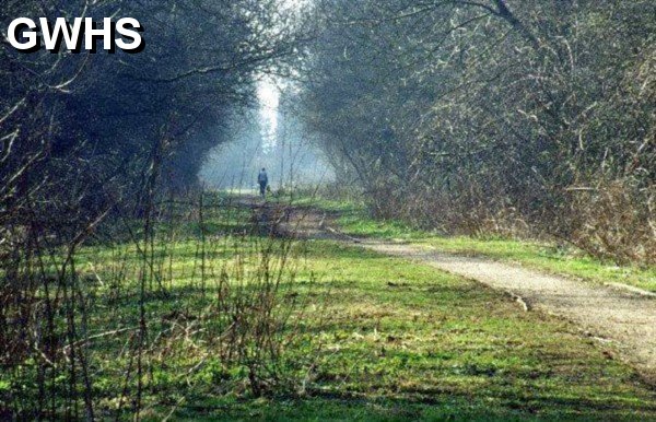 31-257 The old South Wigston to Rugby railway line looking towards Countesthorpe.