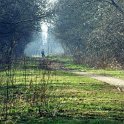 31-257 The old South Wigston to Rugby railway line looking towards Countesthorpe.