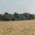 29-635 Welford Road Wigston Magna 1982 looking over Will Forryan's land which became Wigston Harcourt panoramic b