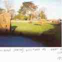 29-652 Elephants in Laundons field next to the cemetery Welford Road Wigston Magna 1995