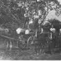 22-395 The Hallum family of tree fellers 1920 22-395 The Hallum family of tree fellers 1920