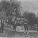 22-412 Eli Bailey holding horse and on right Tom Bailey circa 1900 22-412 Eli Bailey holding horse and on right Tom Bailey circa 1900